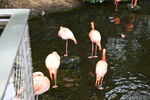 DSC_9171.JPG